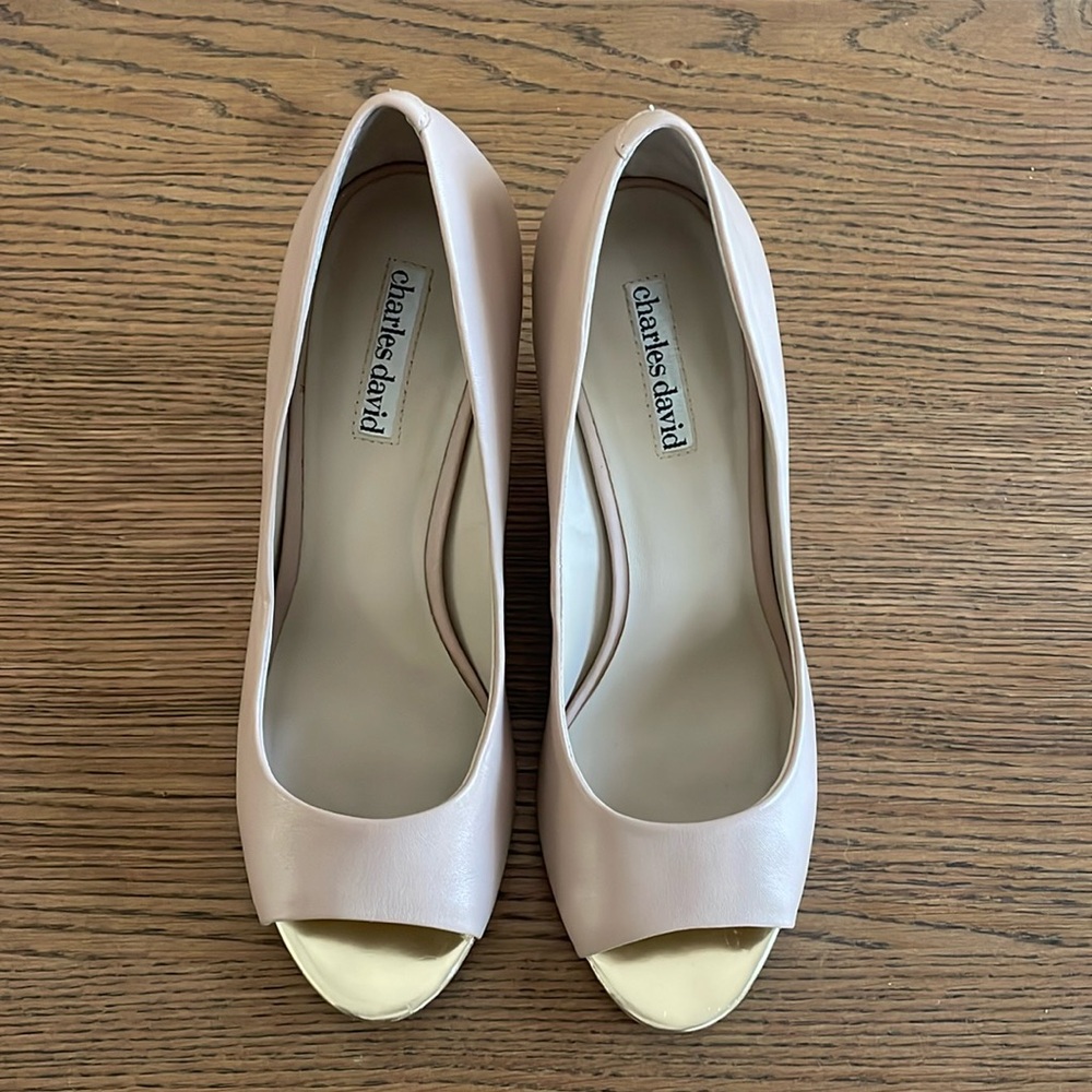 EUC Charles David Wedge